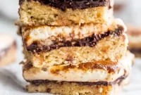 Guilt Free Paleo Smores Bars