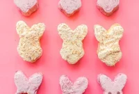 Paleo Bliss Bites Raspberry Toasted Coconut Lemon