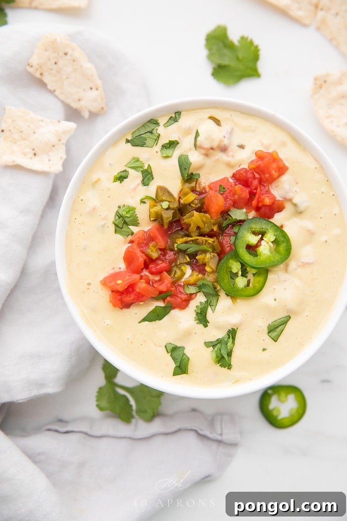 Zoomed out photo of vegan queso topped with tomatoes and jalapenos surrounded by cilantro and tortilla chips