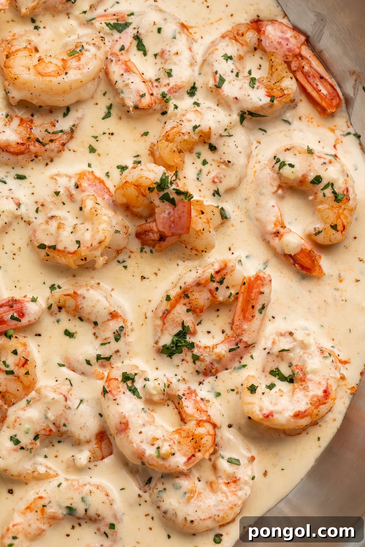 Cooked garlic shrimp in a rich cream sauce, in a large silver skillet, ready to be served.