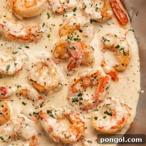 Cooked garlic shrimp in a rich cream sauce, in a large silver skillet.