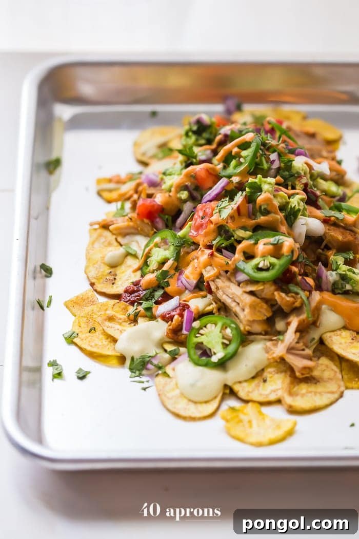 Overhead shot of freshly prepared paleo nachos, showcasing the rich layers of carnitas, paleo queso blanco, guacamole, and colorful salsa.