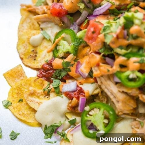 A square image of the completed Epic Paleo Nachos, ready to be served.