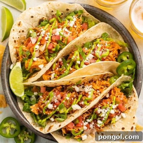 Four stuffed chicken tacos arranged on a plate. The tacos are filled with lettuce, tomato, cheese, and shredded chicken.
