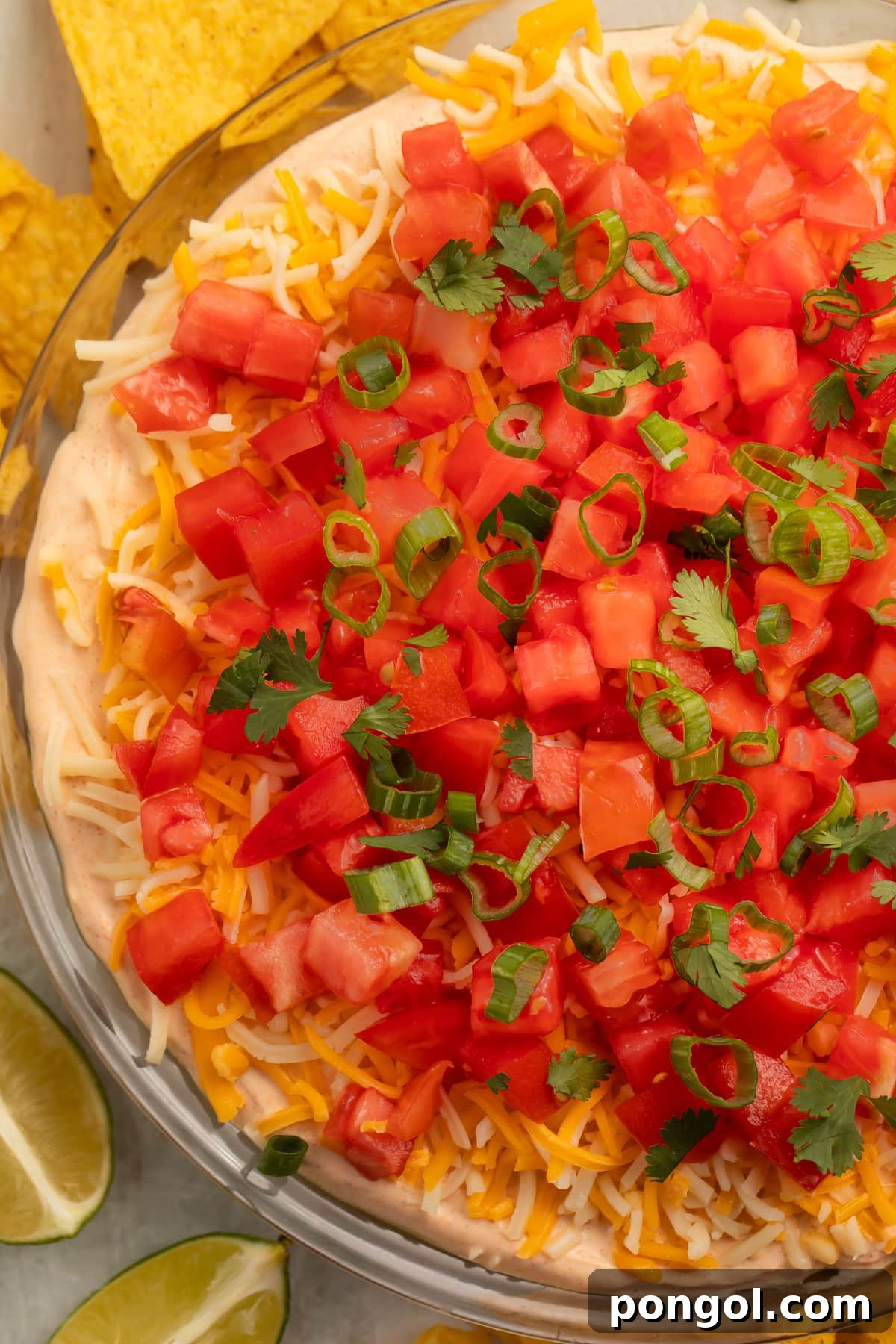 Top-down, overhead view of a 5 layer dip topped with gorgeous bright red tomatoes. Half the bowl is out of frame on the right side of the image.