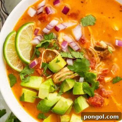 A close-up of a bowl of Whole30 chicken tortilla-less soup on a table, garnished and ready.