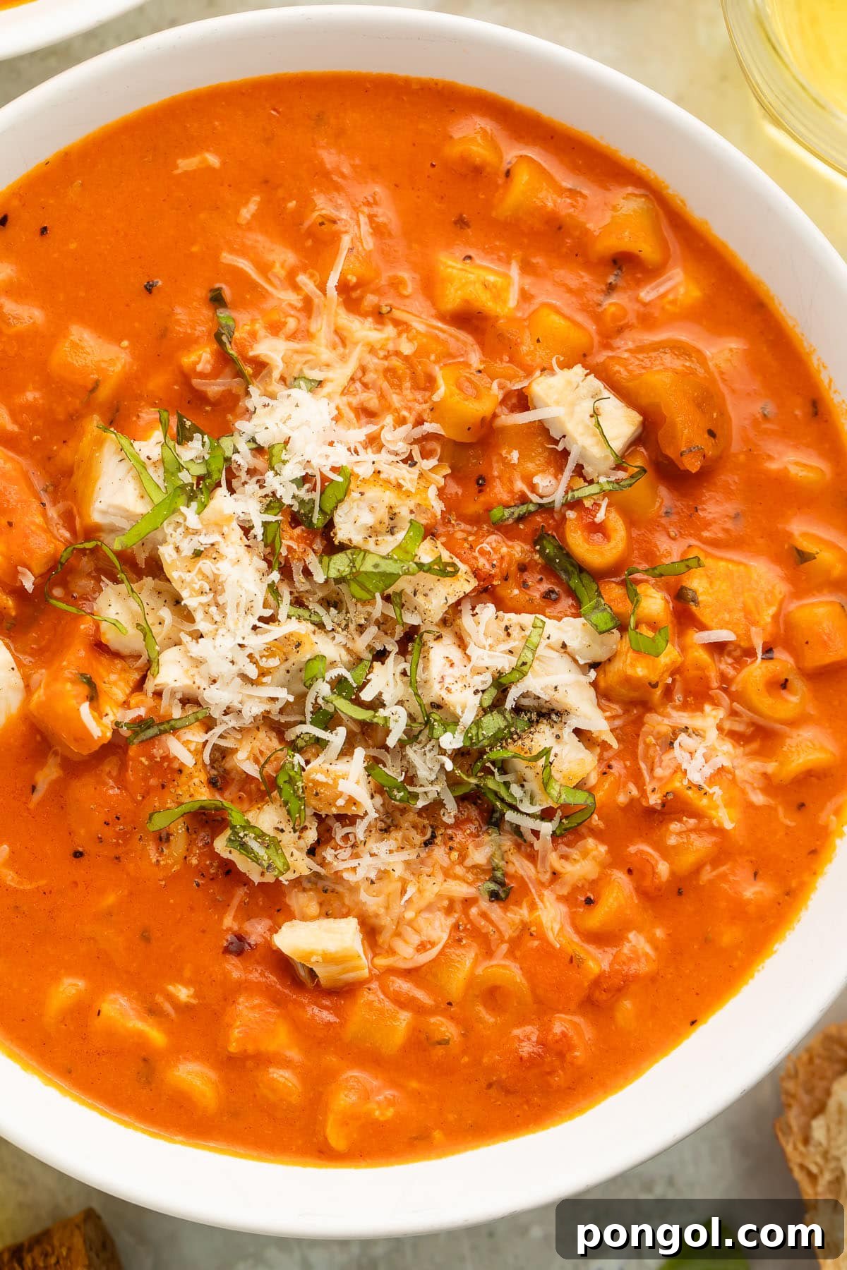 Comforting Chicken Parmesan Soup 3 Close-up of a white soup bowl holding deep red-orange tomatoey soup with ditalini pasta topped with diced chicken, shredded parmesan, and thin strips of basil.