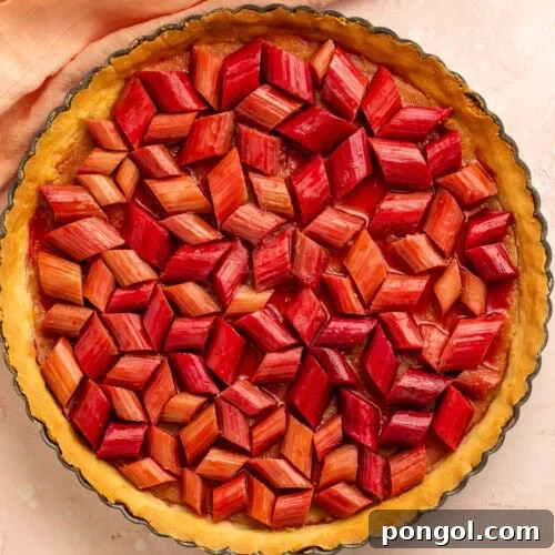 Homemade rhubarb tart with frangipane filling and glazed rhubarb topping