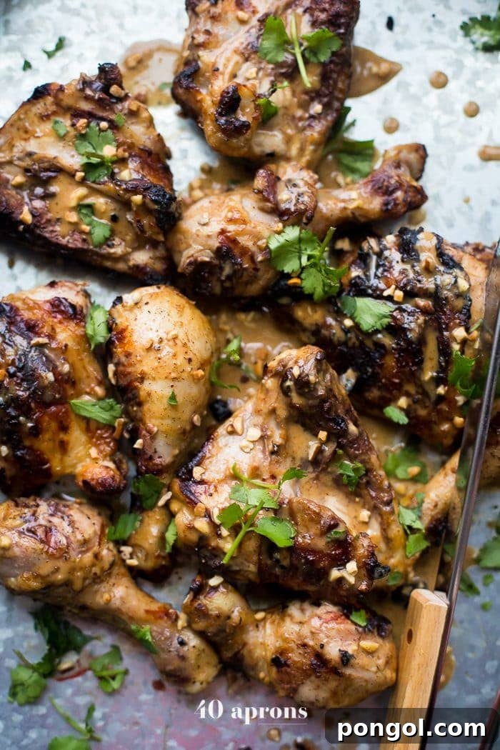 Grilled Peanut-Free Chicken Satay skewers with delicious sauce, perfect for a paleo or Whole30 meal.