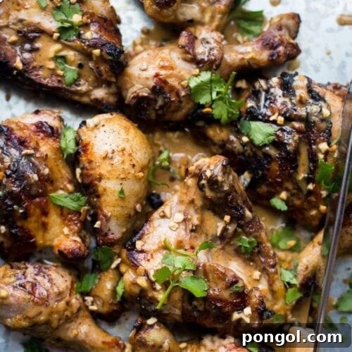 Delicious grilled peanut-free chicken satay, a perfect Paleo and Whole30 recipe.