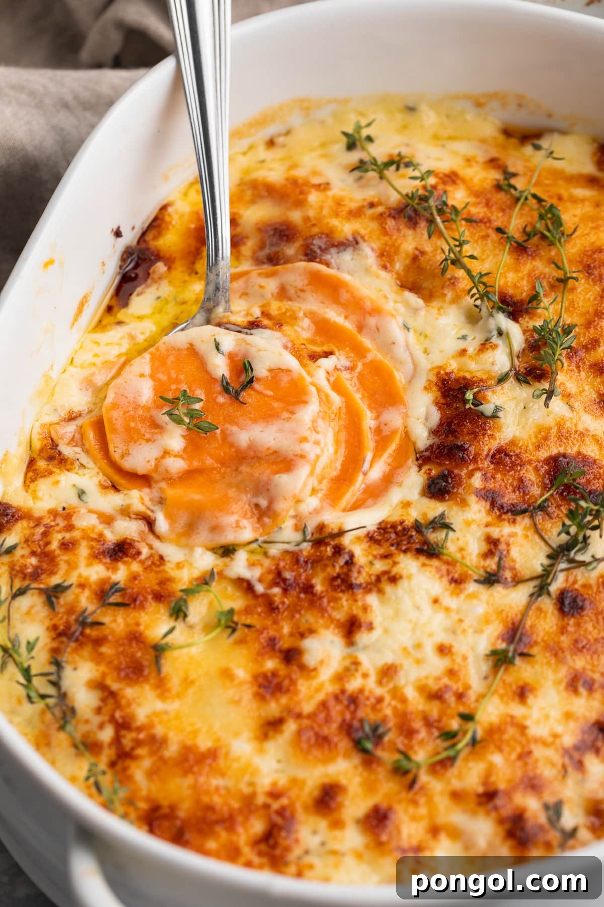 30 Festive Casseroles Your Holiday Table Needs 30 A casserole dish of creamy scalloped sweet potatoes with a cheesy sauce.