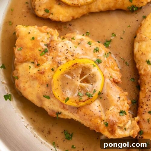 Lightly pan-fried Chicken Francese in a large skillet with lemon sauce, topped with a sautéed lemon coin.