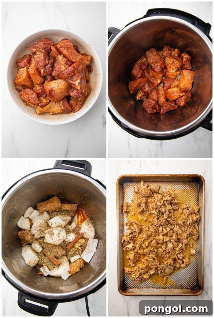 Detailed instructions for making Instant Pot carnitas, showing ingredients and steps