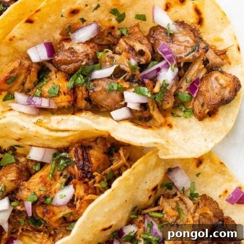 Tortillas filled with Instant Pot carnitas