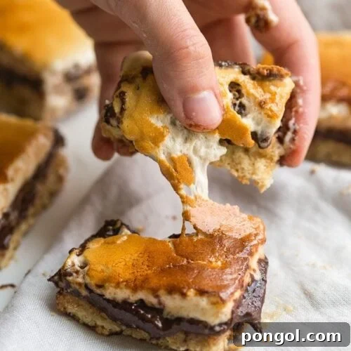 Delicious Paleo S'mores Bars on a serving tray