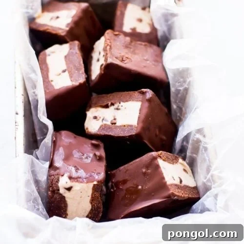 Healthy Vegan Ice Cream Sandwiches