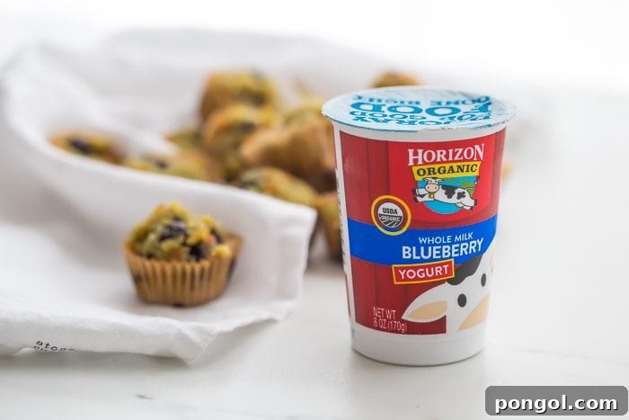 Delicious gluten-free blueberry avocado muffins perfect for kids' back-to-school lunches and snacks. Made with wholesome ingredients, including cultured dairy, carrots, and low sugar.