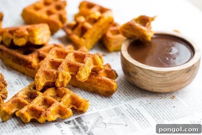 Paleo Pumpkin Churro Waffles with Dark Chocolate Drizzle 4 A serving of traditional churros with a small cup of dark chocolate sauce, evoking the Spanish culinary experience.