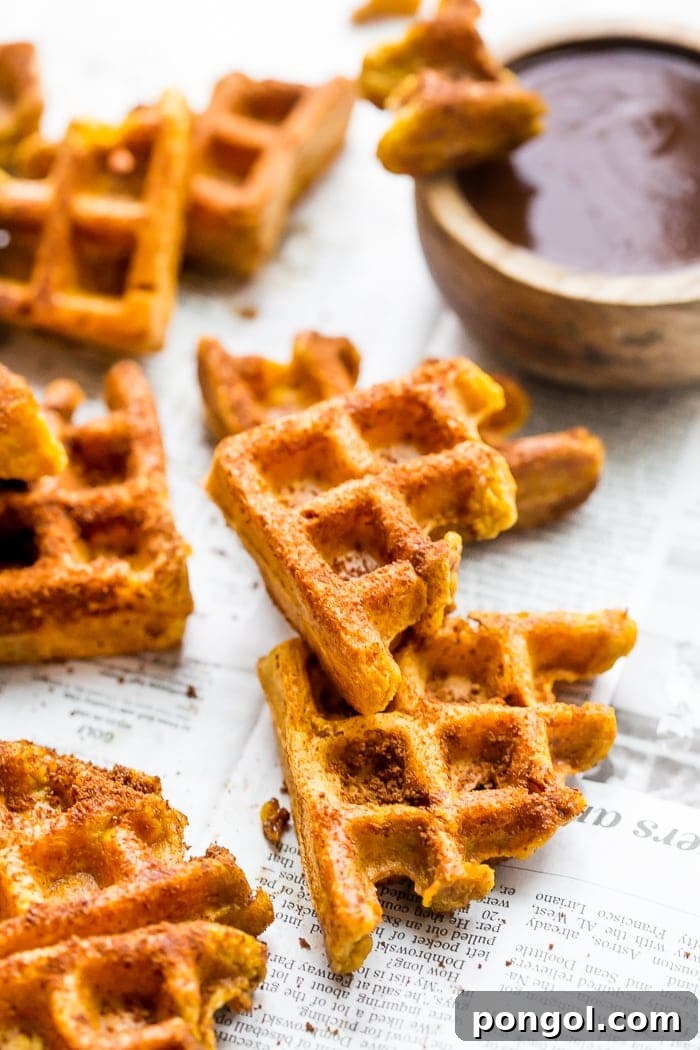 Paleo Pumpkin Churro Waffles with Dark Chocolate Drizzle 6 A close-up of a Paleo Pumpkin Churro being dipped into a luscious dark chocolate sauce.