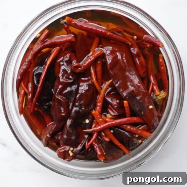 Dried chilies soaking in warm water, a crucial first step in the how to make harissa recipe guide