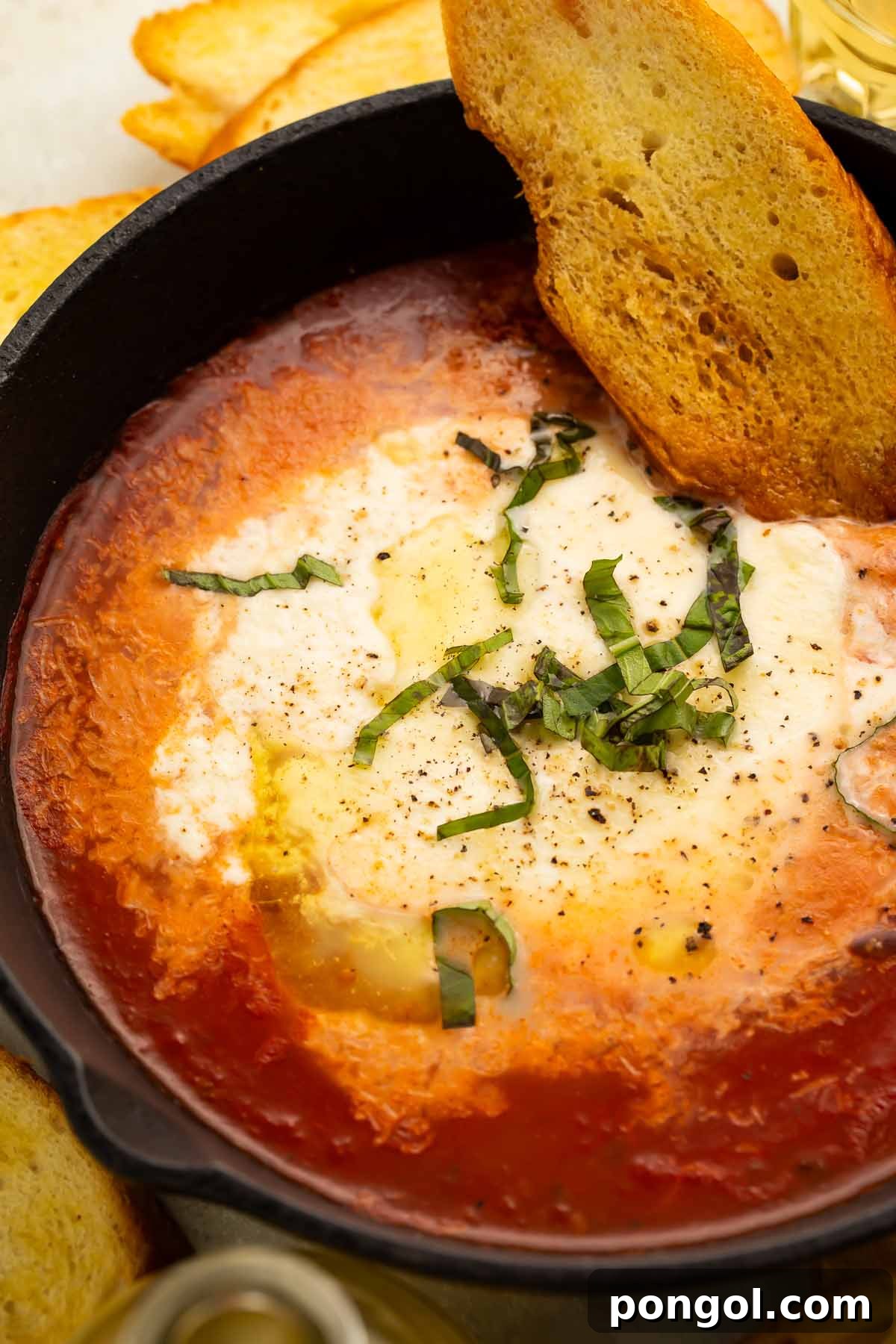 A large black bowl holding rich red marinara and truffle baked burrata garnished with thinly sliced fresh basil and a piece of crostini.
