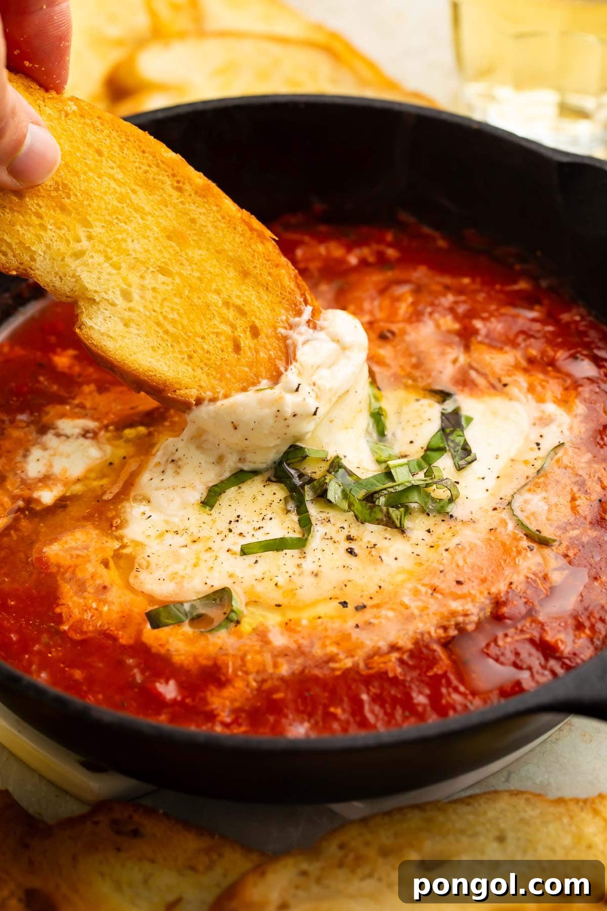A piece of crostini scooping marinara and truffle baked burrata out of a black bowl.
