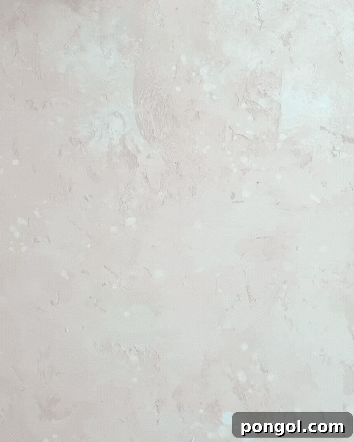 1-2-3 Let's Go Chiefs GIF, illustrating team spirit.