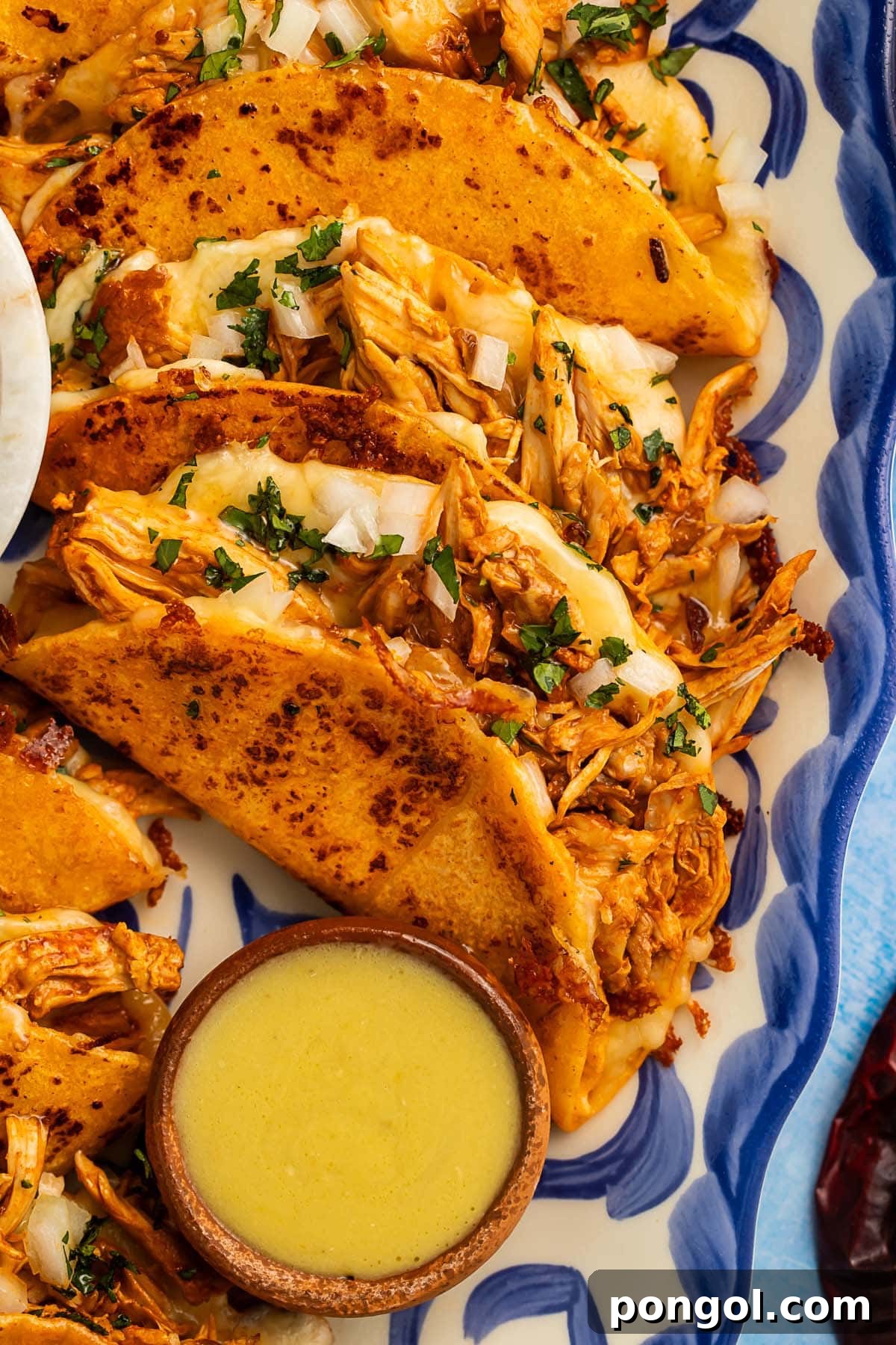 Chicken birria tacos arranged on a blue and white platter.