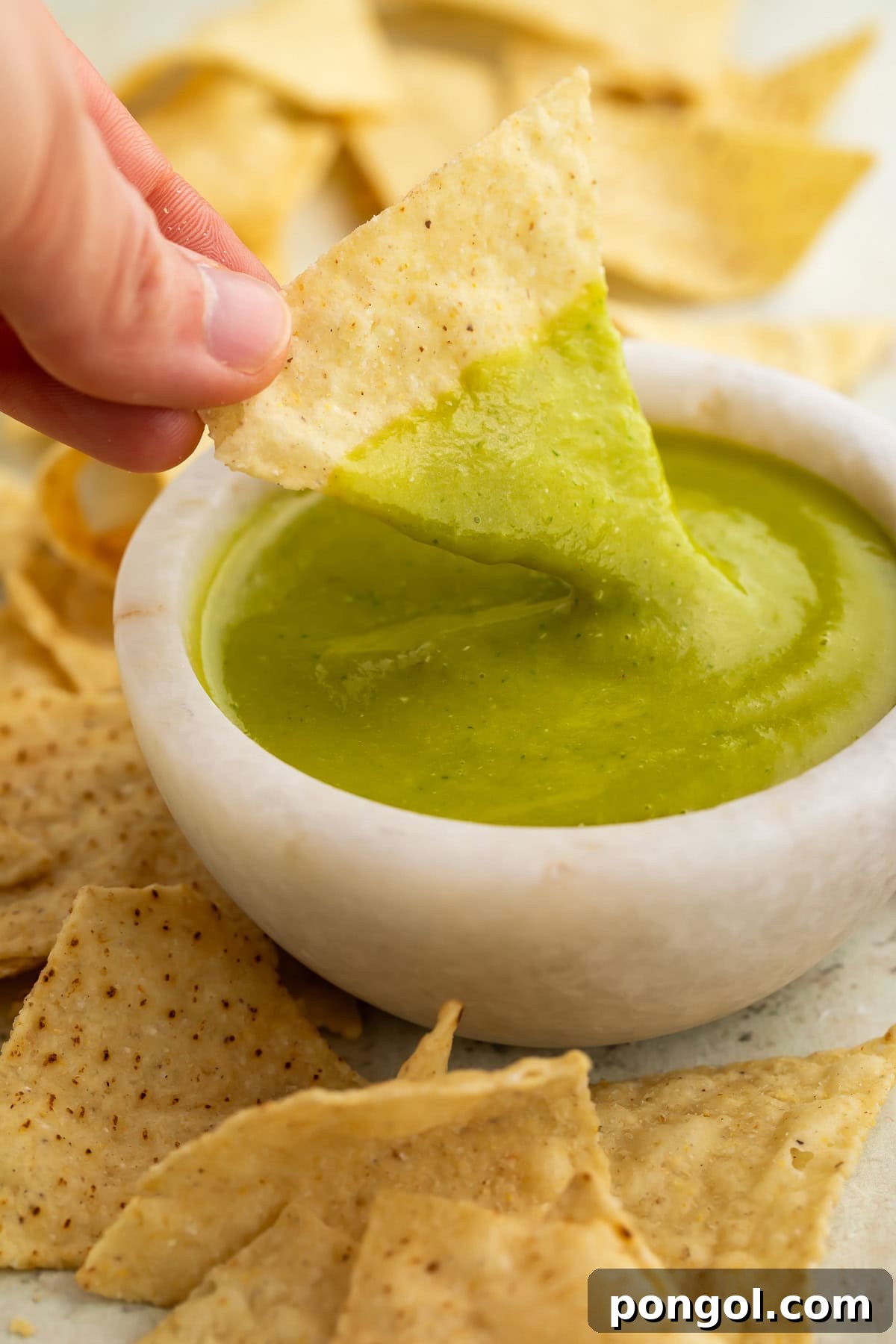 Piquant Jalapeño Salsa 2 A woman's hand holds a triangular tortilla chip after dipping the chip into a bowl of jalapeño salsa.