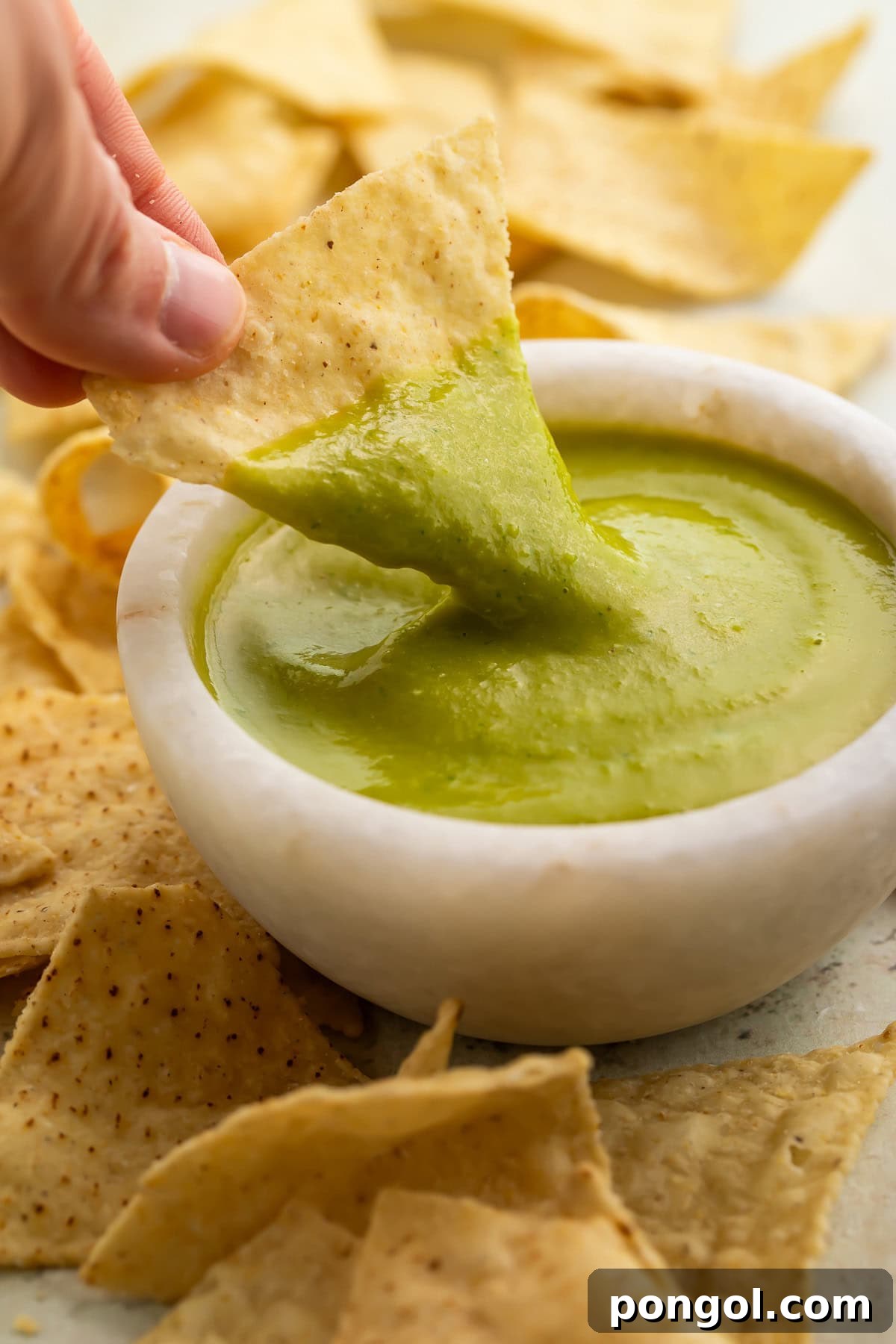 Piquant Jalapeño Salsa 4 A woman's hand holds a triangular tortilla chip after dipping the chip into a bowl of jalapeño salsa.