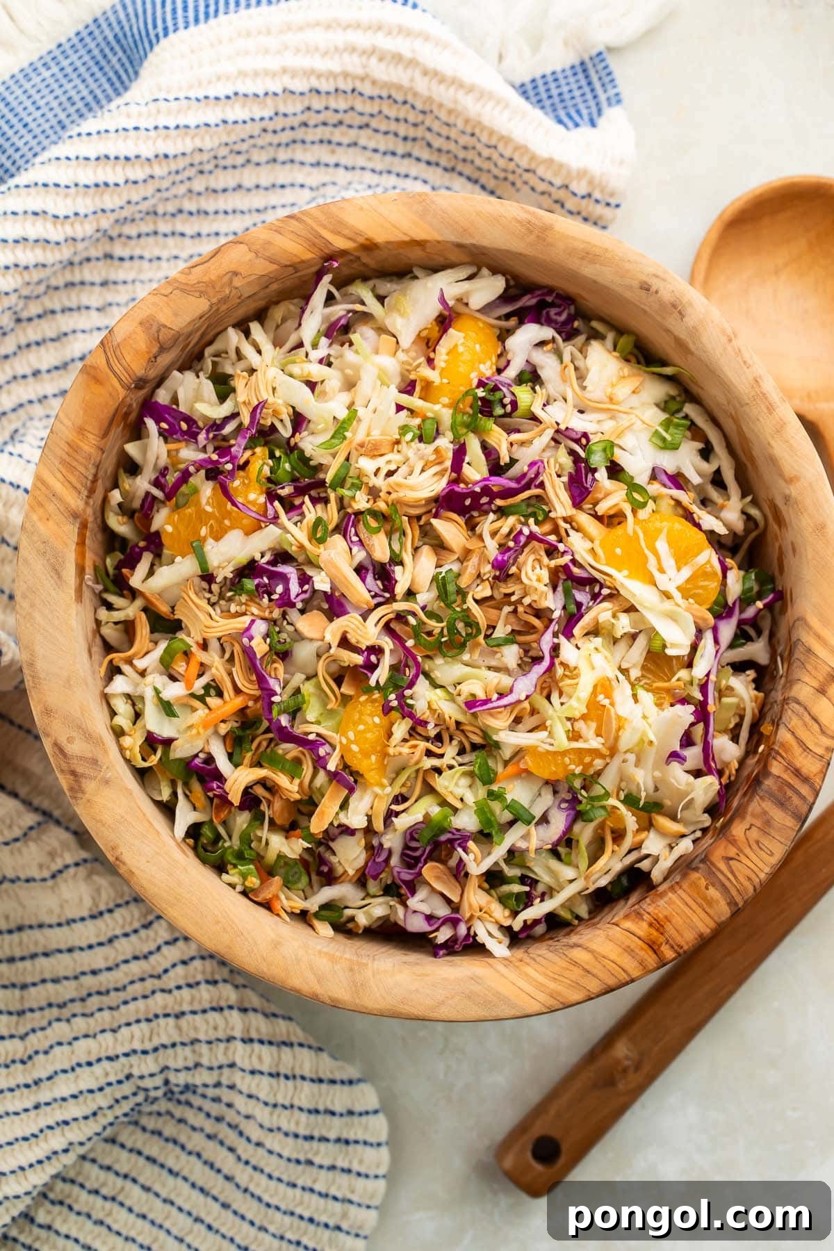 Sesame Ginger Slaw 4 A beautifully composed shot of the Asian slaw, showcasing the abundance in the wooden bowl, with individual ingredients clearly visible, placed on a light table next to rustic serving utensils.