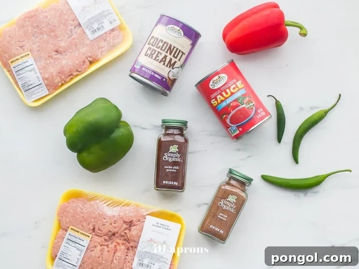 Hearty Whole30 Paleo Chicken Tikka Masala Chili 5 This chicken tikka masala chili is the stuff your dreams are made of. This Whole30 chili has a rich and creamy tomato sauce, with beautiful caramelized onions, garlic, and chiles, loaded with tender ground chicken and veggies. Inspired by my beloved chicken tikka masala recipe, this chicken tikka masala chili is a must make for fall! It'll surely become your favorite Whole30 chili, too.