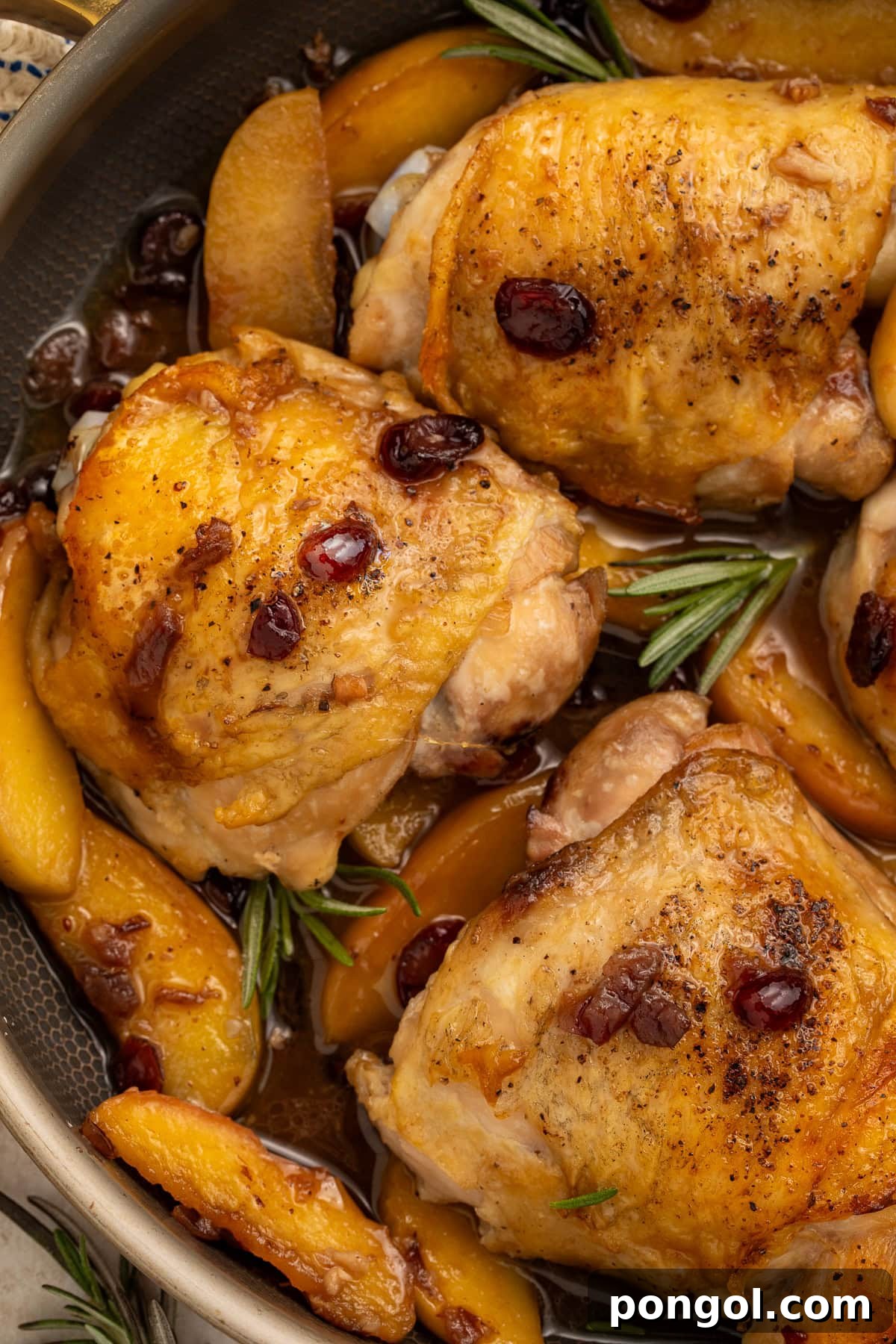 Golden-brown chicken thighs with dried cranberries and apple slices in a dark skillet with fresh rosemary, ready to serve.