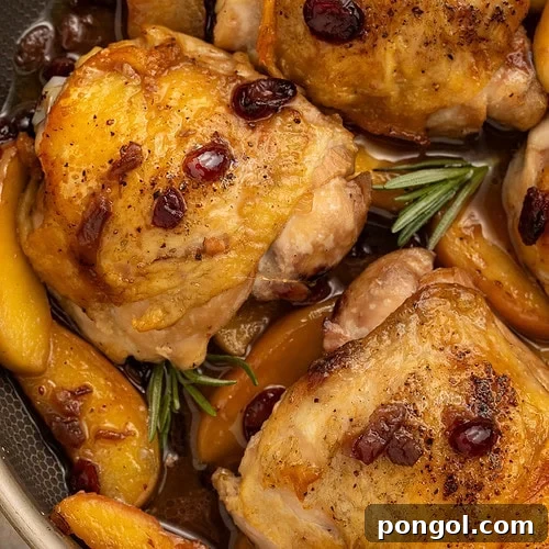 Golden-brown chicken thighs with dried cranberries and apple slices in a dark skillet with fresh rosemary.