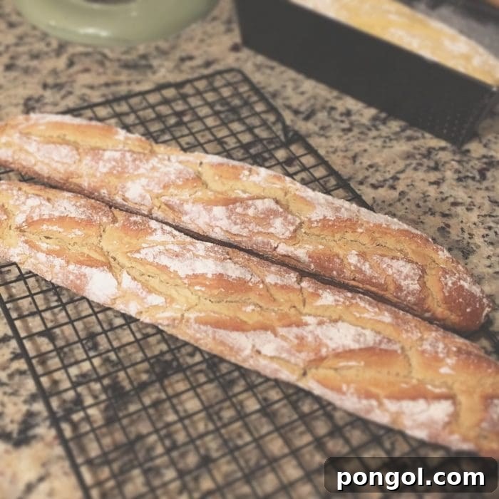Crusty French Bread recipe, grain-free using alternative flours