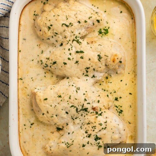 Creamy ranch chicken in white baking dish with golden bubbling sauce and fresh parsley garnish
