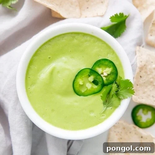 White bowl containing smooth green avocado-based salsa decorated with jalapeño rounds and cilantro