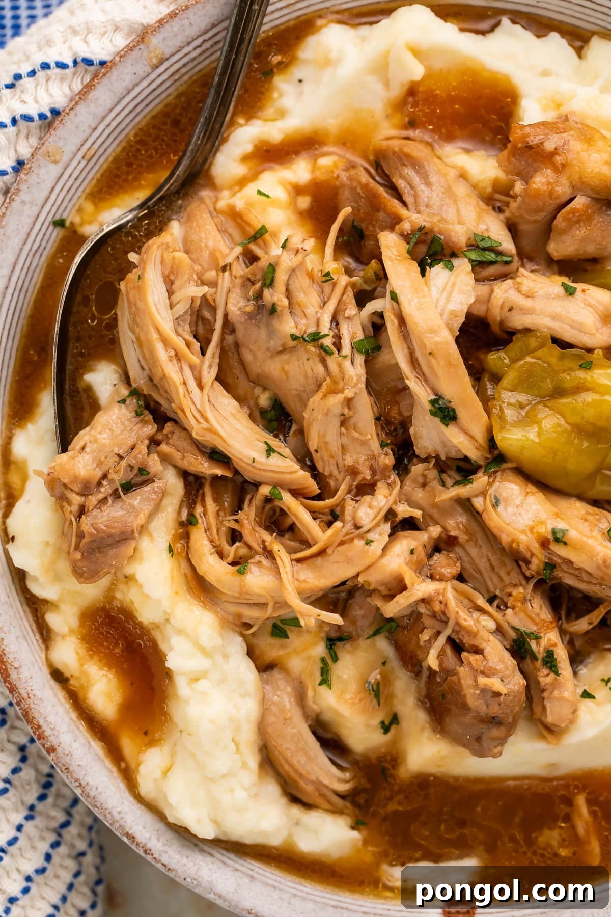 Southern Comfort Chicken Pot Roast 3 Shredded Mississippi chicken in savory gravy over mashed potatoes with pepperoncini and parsley in white serving bowl
