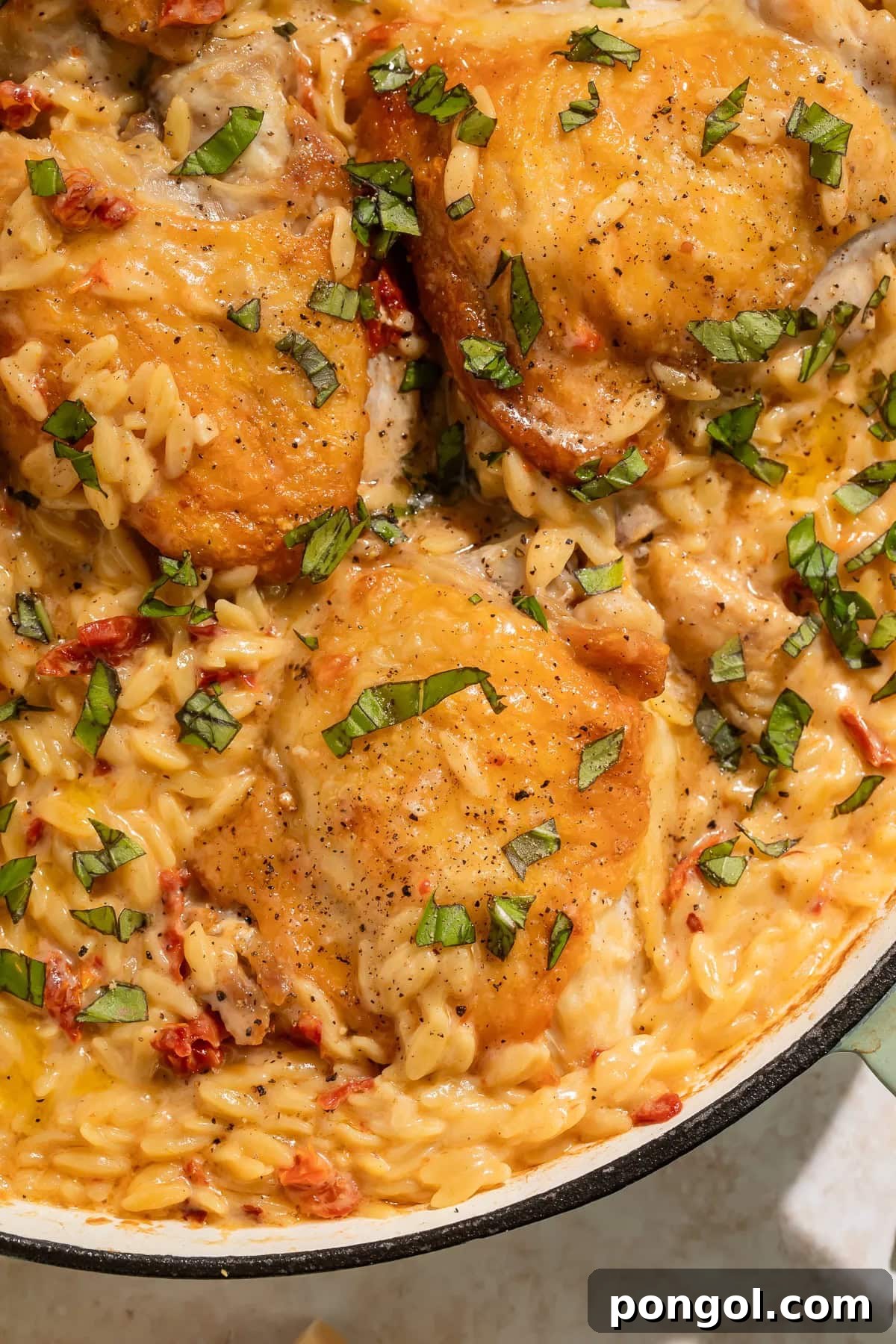 Close-up of crispy chicken thighs over creamy orzo pasta with sun-dried tomatoes and herbs