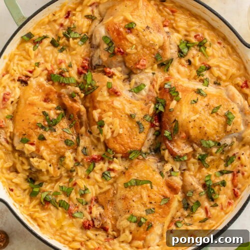 Marry me chicken and orzo skillet with golden chicken thighs in creamy sauce garnished with fresh basil