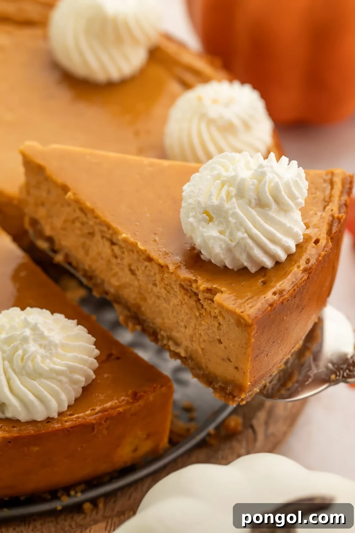 Cottage cheese pumpkin cheesecake slices with whipped cream