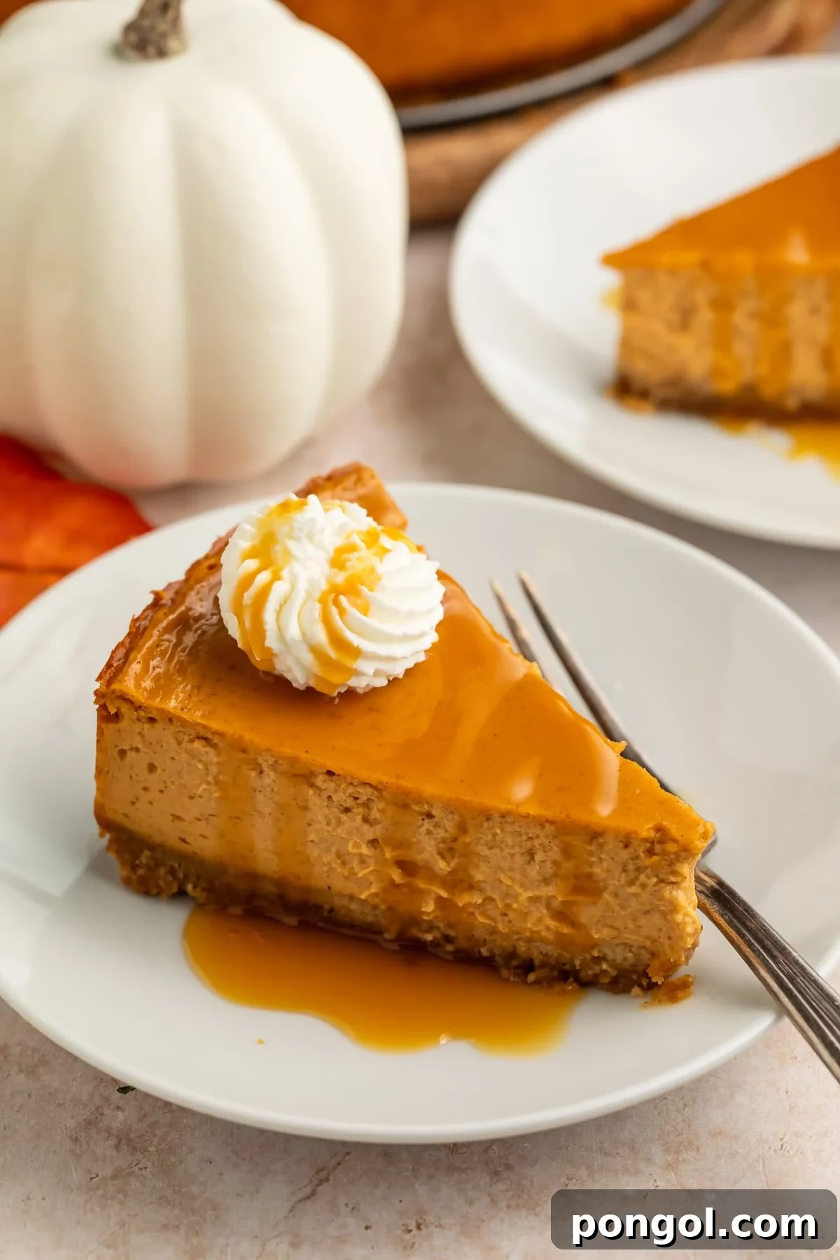 Single slice of pumpkin cheesecake on white plate with caramel sauce
