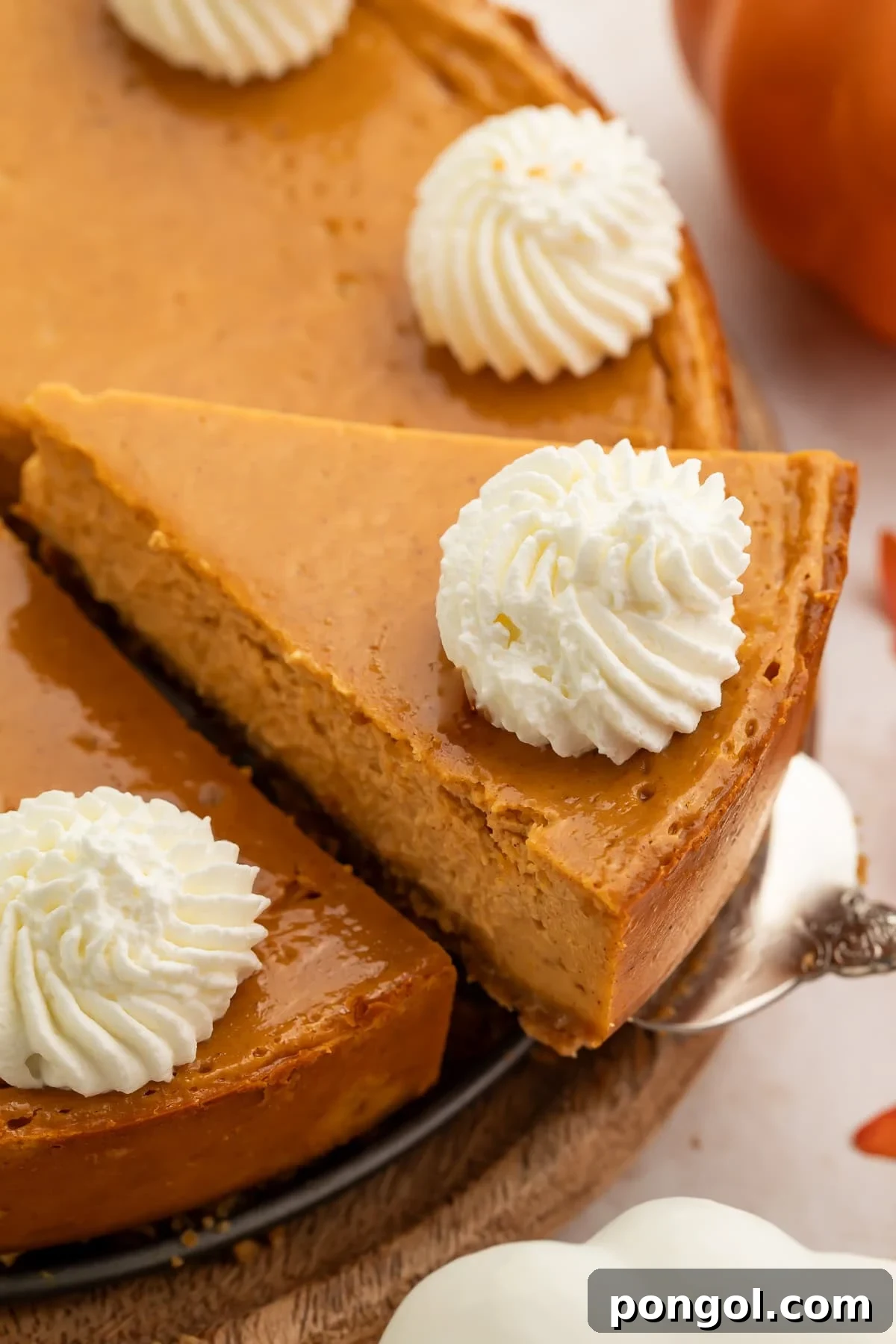 Close-up of pumpkin cheesecake slices with whipped cream rosettes