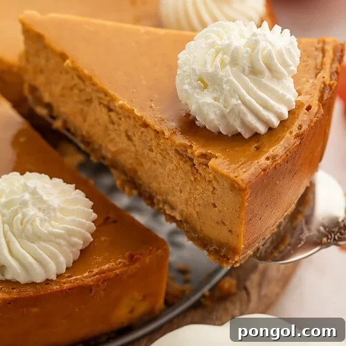Cottage cheese pumpkin cheesecake slices with whipped cream