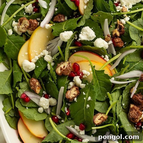 Close up overhead view of Christmas salad with arugula, apple slices, pomegranate arils, goat cheese, and candied pecans.