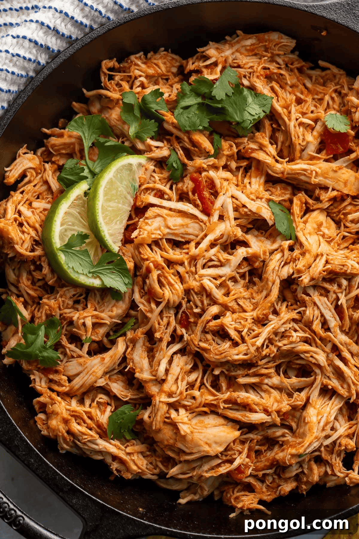 Slow cooker Mexican shredded chicken for tacos