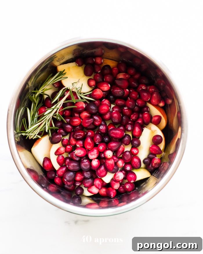 This Instant Pot Whole30 cranberry sauce with apples and rosemary is the perfect Whole30 cranberry sauce: sweet and tart with no added sweeteners at all! It's the perfect addition to any Whole30 Thanksgiving table and goes beautifully with my Whole30 green bean casserole. You'll love this Instant Pot Whole30 cranberry sauce with apples and rosemary because it's so easy and quick yet gourmet!