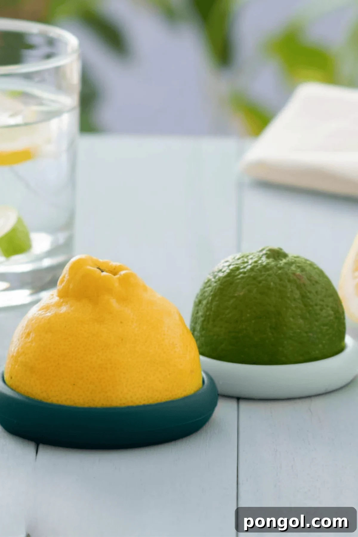 Unveiling 2026s Best Kitchen Innovations and Home Upgrades You Need to See 23 Food Huggers citrus savers with lemon and lime halves in teal silicone covers