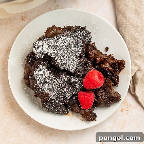 Slow cooker molten lava cake with powdered sugar and fresh raspberries on white plate