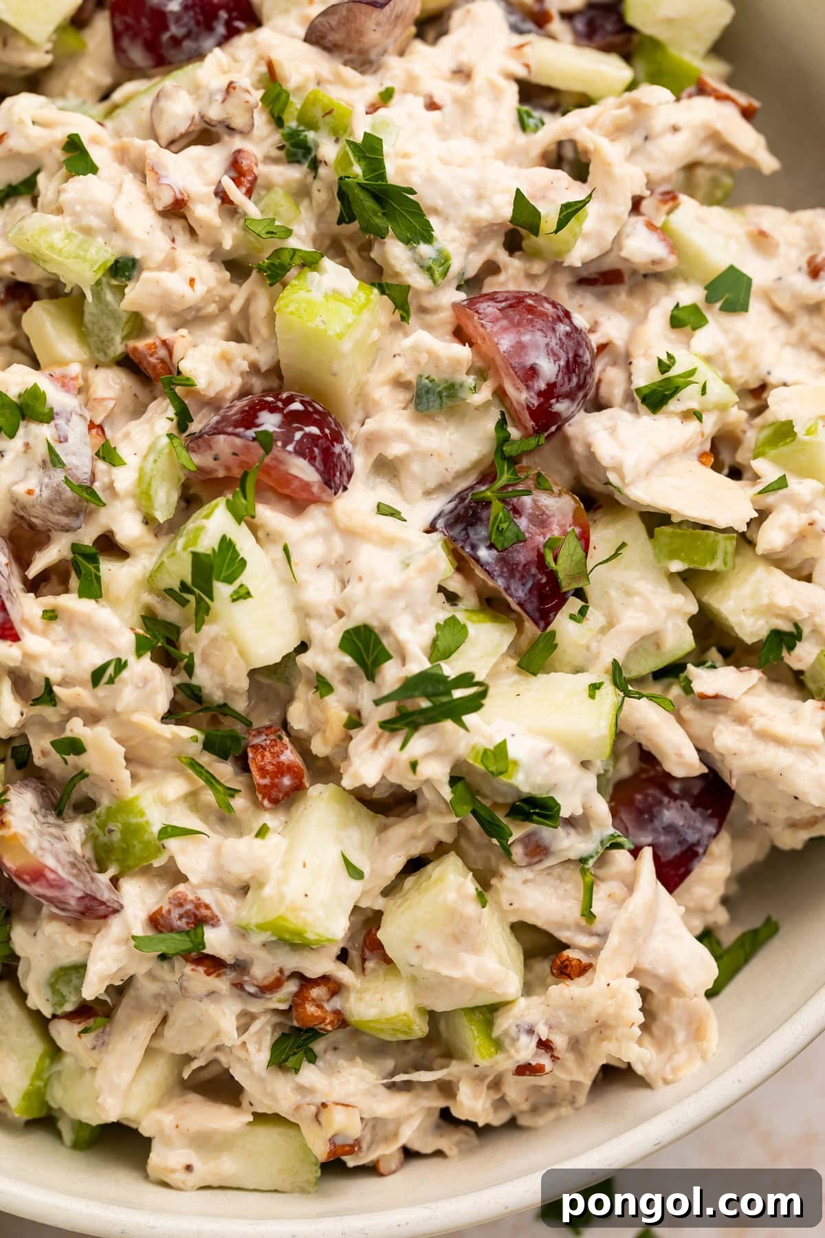 Wholesome Protein-Packed Chicken Salad 2 Close up view of high protein chicken salad with grapes, apples, pecans, and fresh parsley in white bowl